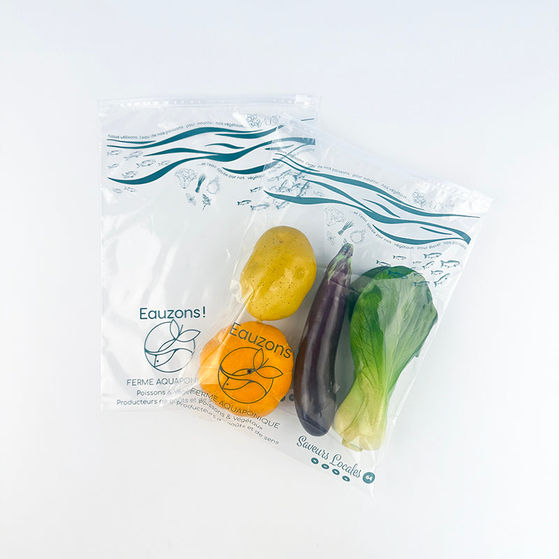 High-Clarity Art-Printed Transparent LDPE Zipper Bag