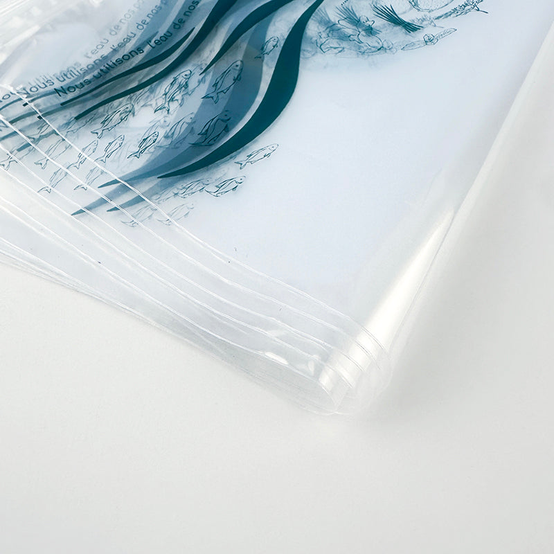High-Clarity Art-Printed Transparent LDPE Zipper Bag