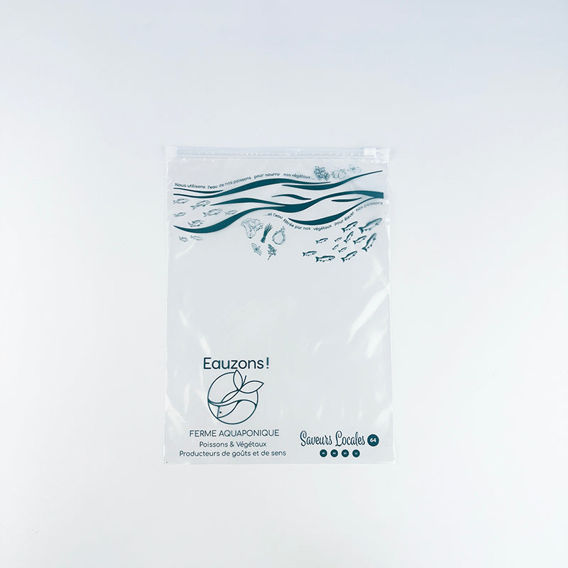 High-Clarity Art-Printed Transparent LDPE Zipper Bag